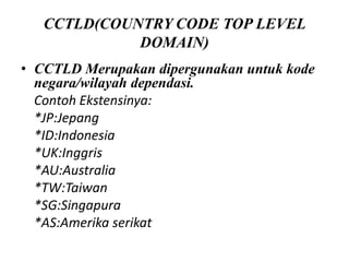 DNS PPT Nurul.pptx