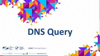 DNS Query
 
