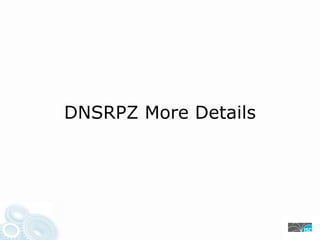 DNSRPZ More Details
 