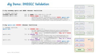 $ dig academy.apnic.net AAAA +dnssec +multiline
;; ANSWER SECTION:
academy.apnic.net. 688 IN AAAA 2001:dd8:9:2::101:88
academy.apnic.net. 688 IN RRSIG AAAA 13 3 86400 (
20200921141502 20200822131502 18494 apnic.net.
oQtfJiVwnH2LrJ2ABr3rj+8mnGP6DyRxMugAfU3Rmvha
YrRhCkFhfw56OJWjKFFQU/Tnbg/W0Fg8eghTvng9fA== )
dig Demo: DNSSEC Validation
Hands on DNS and DNSSEC
$ dig apnic.net DNSKEY +dnssec +multiline
;; ANSWER SECTION:
apnic.net. 721 IN DNSKEY 256 3 13 (
bY/nKt78m6DL+Yi5FMvKd19Fx0uFIuQ3zituPS8q8Ayg
uQlVAcvM6JtHfEE42g9QrgCF4mwqHQfqcqQThneqzg==
) ; ZSK; alg = ECDSAP256SHA256 ; key id = 18494
apnic.net. 721 IN DNSKEY 257 3 13 (
jSTTxYYYq0VSUo/VkSPCajZH17dlJzdGfGOB45eBlvaZ
jJxGjI5X/Vwjvjt6+YTIdgqMRwtGRacSLg7FrZDY0w==
) ; KSK; alg = ECDSAP256SHA256 ; key id = 53839
apnic.net. 721 IN RRSIG DNSKEY 13 2 3600 (
20200921141502 20200822131502 53839 apnic.net.
80QnAY55+CgCdSW0BaE4Z2VbvrOOuTdClXBMQFhTBBdB
hoQPTvUrIKFZWX1j6JdYeEbhlkxUBdcx4M63D1TGuw== )
AAAA
AAAA RRSIG
ZSK 18494
KSK 53839
RRSIG
ZSK 56519
KSK 35886
RRSIG
ZSK 46594
KSK 20326
root zone
net zone
apnic.net
zone
DS 35886
DS 53839
 