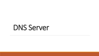 DNS Server
 