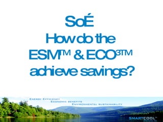 So… How do the  ESM TM  & ECO 3TM   achieve savings? 