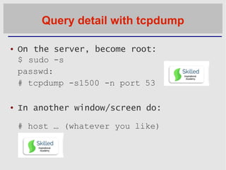 Query detail with tcpdump
 On the server, become root:
$ sudo -s
passwd:
# tcpdump -s1500 -n port 53
 In another window/...