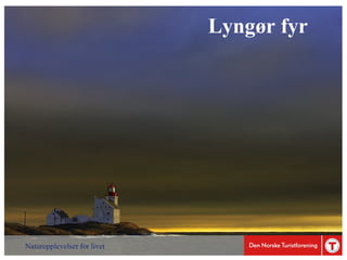 Anne Mari Aamelfot Hjelle (DNT): Hva betyr gode vandretilbud for reiselivsnæringen?     