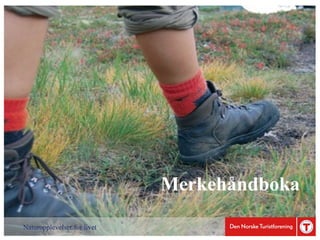 Anne Mari Aamelfot Hjelle (DNT): Hva betyr gode vandretilbud for reiselivsnæringen?     