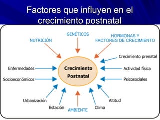 Factores que influyen en elFactores que influyen en el
crecimiento postnatalcrecimiento postnatal
 