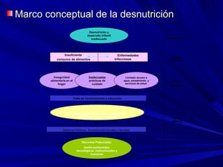 Marco conceptual de la desnutriciónMarco conceptual de la desnutrición
Desnutrición y
desarrollo infantil
inadecuado
Insuficiente
consumo de alimentos
Enfermedades
Infecciosas
Inseguridad
alimentaria en el
hogar
Inadecuadas
prácticas de
cuidado
Limitado acceso a
agua, saneamiento y
servicios de salud
Recursos existentes: humanos, económicos,
organizacionales y su control
Recursos Potenciales:
medio-ambientales,
tecnológicos, institucionales y
humanos
Causas
Inmediatas
Causas
Subyacentes
Causas
Básicas
,
Sistemas Políticos, EconómicosCulturales y Sociales
Manifestaciones
Falta de Conocimientos y educación
 