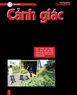 T
hôøi gian gaàn ñaây, taïi nhieàu ñòa phöông treân caû
nöôùc laïi xuaát hieän tình traïng caùc thöông laùi nöôùc
ngoaøi oà aït thu mua noâng saûn. Chaúng haïn nhö maàm
thaûo quaû ôû Haø Giang, laù khoai non ôû Vónh Long...
Nhöõng ngaøy gaàn ñaây,
taïi tænh Vónh Long, nhieàu
thöông laùi nöôùc ngoaøi ñeán
ñaët mua laù khoai lang non
vôùi giaù 10.000 ñoàng/kg vaø
ñöa tieàn coïc tröôùc 20 trieäu
ñoàng. Thaäm chí caùc thöông
laùi coøn ñaët mua ôû 1 hôïp
taùc xaõ moãi ngaøy khoaûng 20
taán laù khoai lang non…
Coøn taïi moät soá huyeän
bieân giôùi cuûa Haø Giang nhö
Quaûn Baï, Yeân Minh… gaàn
ñaây laïi xuaát hieän tình traïng
thöông laùi Trung Quoác oà aït
thu mua maàm thaûo quaû vôùi
giaù khoaûng 50.000 ñoàng/
kg, trong khi giaù mua thaûo
quaû taïi Haø Giang phoå bieán
29.000 ñoàng/kg.
Theo oâng Nguyeãn Ñöùc
Vinh, Giaùm ñoác Sôû Noâng
nghieäp vaø Phaùt trieån noâng
thoân tænh Haø Giang, vieäc thu
mua maàm thaûo quaû oà aït seõ
gaây thieät khoâng nhoû ñeán
kinh teá cuûa ñòa phöông.
Bôûi thaûo quaû laø loaïi caây
troàng laâu naêm, ñeå thu gom
1 kg maàm töông ñöông vôùi
khoaûng 20 caây bò chaët maát
với chiêu bài thu mua ồ ạt
nông sản của thương lái
Cảnh giácCảnh giác
l Phöông Nguyeân
Thöông laùi thu mua laù khoai mì ôû Haäu Giang
Caùc chuyeân gia khuyeán
caùo, noâng daân caàn thaän
troïng vôùi tình traïng naøy, bôûi
haäu quaû thieät haïi kinh teá laø
khoâng heà nhoû.
Tieâu ñieåm
12
 