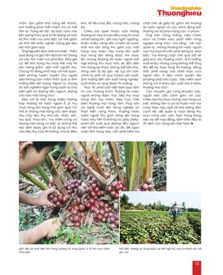 maàm, laøm giaûm khaû naêng ñeû nhaùnh,
sinh tröôûng phaùt trieån thaäm chí coù theå
taøn luïi. Trong khi ñoù, döï baùo naêm nay
saûn löôïng thaûo quaû ôû Haø Giang vaø moät
soá tænh mieàn nuùi phía Baéc coù theå giaûm
do thôøi tieát khaéc nghieät, baêng giaù keùo
daøi thôøi gian qua.
OÂng Nguyeãn Ñöùc Vinh cho bieát: “Thaûo
quaû ñang coù giaù treân ñòa baøn Haø Giang
vaø caùc tænh mieàn nuùi phía Baéc. Baây giôø
cöù ñeå tình traïng thu mua theá naøy thì
saûn löôïng giaûm, daân maát nguoàn thu.
Chuùng toâi ñang phoái hôïp vôùi haûi quan,
bieân phoøng tuyeân truyeàn cho ngöôøi
daân khoâng baùn maàm thaûo quaû vì aûnh
höôûng ñeán saûn löôïng. Ngoaøi ra, chuùng
toâi laøm nghieâm ngaët trong quaûn lyù chôï
bieân giôùi vaø ñöôøng tieåu ngaïch, khoâng
cho baùn maët haøng naøy”.
Ñaây chæ laø moät trong nhieàu tröôøng
hôïp thöông laùi nöôùc ngoaøi oà aït thu
mua noâng saûn trong thôøi gian qua. Coù
theå laø nhöõng maët haøng xaùc ñònh ñöôïc
nhu caàu tieâu thuï nhö vaûi, nhaõn, saén,
rau quaû, thuûy saûn… Tuy nhieân cuõng coù
nhöõng maët haøng caù bieät, laï, khoâng theå
xaùc ñònh ñöôïc giaù trò söû duïng vaø nhu
caàu tieâu thuï cuûa thò tröôøng, nhö laù ñieàu
khoâ, reã tieâu hay ñæa, moùng traâu, moùng
boø...
Chieâu baøi quen thuoäc cuûa nhöõng
thöông laùi naøy laø ban ñaàu tung tin mua
vôùi soá löôïng lôùn, giaù cao ngaát ngöôûng,
khieán nhieàu noâng daân vì haùm lôïi tröôùc
maét maø saün saøng thu gom caùc maët
haøng naøy hoaëc taäp trung saûn xuaát
loaïi noâng saûn ñang ñöôïc tìm mua.
Khi nhöõng thöông laùi nöôùc ngoaøi baát
ngôø khoâng thu mua nöõa, seõ daãn ñeán
tình traïng dö thöøa, khoâng theå tieâu thuï,
noâng daân bò eùp giaù. Heä luïy lôùn hôn,
chính laø phaù vôõ quy hoaïch saûn xuaát,
aûnh höôûng ñeán saûn xuaát noâng nghieäp,
xuaát khaåu vaø luõng ñoaïn thò tröôøng.
Thöïc teá, phaùt luaät Vieät Nam quy ñònh
roõ, caùc thöông nhaân, thöông laùi nöôùc
ngoaøi khoâng ñöôïc tröïc tieáp thu mua
noâng saûn. Tuy nhieân, theo Cuïc Cheá
bieán thöông maïi noâng, laâm, thuûy saûn
vaø ngheà muoái (Boä Noâng nghieäp vaø
Phaùt trieån noâng thoân), thöông nhaân
nöôùc ngoaøi thu gom noâng saûn trong
nöôùc haàu heát laø khoâng coù giaáy pheùp,
phaàn lôùn xuaát qua ñöôøng tieåu ngaïch
neân raát khoù kieåm soaùt. Do ñoù, ñeå ngaên
chaën tình traïng naøy, caàn phaûi kieåm tra
chaët cheõ veà giaáy tôø, giaùm saùt thöông
laùi nöôùc ngoaøi coù caùc haønh ñoäng baát
thöôøng vaø xöû phaït naëng caùc vi phaïm.
OÂng Traàn Coâng Thaéng, Vieän Chính
saùch vaø Chieán löôïc phaùt trieån noâng
nghieäp noâng thoân, cho raèng: “Veà maët
quaûn lyù, nhöõng thöông laùi nöôùc ngoaøi
vaøo thu mua thì caàn phaûi ñaêng kyù, khai
baùo. Tuy khoâng chaët cheõ quaù bôûi seõ
gaây khoù cho thöông nhaân, aûnh höôûng
xuaát khaåu, nhöng cuõng khoâng theå loûng
leûo ñeå hoï thao tuùng thò tröôøng. Ñoàng
thôøi, phaûi naâng cao nhaän thöùc cuûa
ngöôøi daân, ôû ñaây chính quyeàn ñòa
phöông phaûi vaøo cuoäc. Vieäc kieåm soaùt
khoâng chæ ôû khaâu saûn xuaát maø ôû khaâu
thöông maïi nöõa”.
Caùc chuyeân gia cuõng khuyeán caùo,
ngöôøi daân caàn caûnh giaùc vôùi caùc
chieâu baøi thu mua nhöõng maët haøng caù
bieät, khoâng neân vì caùi lôïi tröôùc maét maø
chaïy theo, haäu quaû raát khoù löôøng. Beân
caïnh ñoù, ñeå quaûn lyù hoaït ñoäng thu
mua noâng saûn, caàn thaän troïng trong
vieäc kyù keát hôïp ñoàng, ñaûm baûo ñaàu ra
oån ñònh cho noâng saûn Vieät Nam.n
gaàn ñaây laïi xuaát hieän tình traïng thöông laùi Trung Quoác oà aït thu mua maàm
thaûo quaû
Môùi ñaây, thöông laùi Trung Quoác laïi baát ngôø thu mua laø khoai non vôùi
giaù cao
13
 