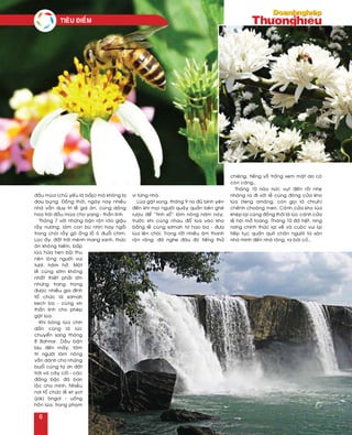 ñaàu muøa (chuû yeáu laø baép) maø khoâng bò
ñau buïng. Ñoàng thôøi, ngaøy nay nhieàu
nhaø vaãn duy trì leã gai aên, cuùng daâng
hoa traùi ñaàu muøa cho yang - thaàn linh.
Thaùng 7 vôùi nhöõng baän roän raøo giaäu
raãy nöông, laøm con buø nhìn hay ngoài
trong choøi raãy goõ oáng loà oâ ñuoåi chim.
Luùc aáy, ñaát trôøi meânh mang xanh, thöùc
aên khoâng hieám, baép
luùa höùa heïn boäi thu
neân loøng ngöôøi vui
töôi, haêm hôû. Moät
leã cuùng sôùm khoâng
nhaát thieát phaûi lôùn
nhöng trang troïng
ñöôïc nhieàu gia ñình
toå chöùc laø sômah
kech ba - cuùng xin
thaàn linh cho pheùp
gaët luùa.
Khi boâng luùa chín
daàn cuõng laø luùc
chuyeån sang thaùng
8 Bahnar. Daàu baän
bòu ñeán maáy, taâm
trí ngöôøi laøm noâng
vaãn daønh cho nhöõng
buoåi cuùng taï ôn ñaát
trôøi vaø caây coái - caùc
ñaáng baäc ñaõ ban
loäc cho mình. Nhieàu
nôi toå chöùc leã et yot
(jok) bngol - uoáng
hoàn luùa, trong phaïm
vi töøng nhaø.
Luùa gaët xong, thaùng 9 no ñuû bình yeân
ñeán khi moïi ngöôøi quaây quaàn beân gheø
röôïu ñeå “tính soå” laøm noâng naêm naøy,
tröôùc khi cuøng nhau ñoå luùa vaøo kho
baèng leã cuùng sômah tô hao ba - ñöa
luùa leân choøi. Trong raát nhieàu aâm thanh
roän raøng, ñaõ nghe ñaâu ñoù tieáng thöû
chieâng, tieáng voã troáng xem maët da coù
coøn caêng…
Thaùng 10 naùo nöùc vuït ñeán roài nheï
nhaøng ra ñi vôùi leã cuùng ñoùng cöûa kho
luùa (teng amaêng, coøn goïi laø chruh)
cheánh choaùng men. Caùnh cöûa kho luùa
kheùp laïi cuõng ñoàng thôøi laø luùc caùnh cöûa
leã hoäi môû toang. Thaùng 10 ñaõ heát, ning
nông chính thöùc laïi veà vaø cuoäc vui laïi
tieáp tuïc quaán quít chaân ngöôøi töø saøn
nhaø mình ñeán nhaø roâng, ra baõi coû…
Tieâu ñieåm
6
 