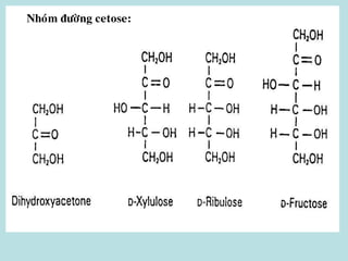 Nhoùm ñöôøng cetose:
 