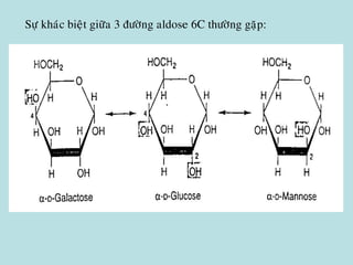 Söï khaùc bieät giöõa 3 ñöôøng aldose 6C thöôøng gaëp:
 