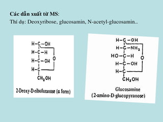Caùc daãn xuaát töø MS:
Thí duï: Deoxyribose, glucosamin, N-acetyl-glucosamin…
 