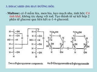3. DISACARID (DS) HAY ÑÖÔØNG ÑOÂI:
- Maltose: coù ôû maàm luùa, men bia, keïo maïch nha, tinh boät; Coù
tính khöû, khoâng taùc duïng vôùi iod; Taïo thaønh töø söï keát hôïp 2
phaân töû glucose qua lieân keát -1-4-glucosid.
 