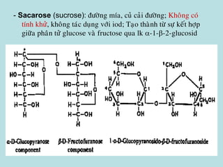 - Sacarose (sucrose): ñöôøng mía, cuû caûi ñöôøng; Khoâng coù
tính khöû, khoâng taùc duïng vôùi iod; Taïo thaønh töø söï keát hôïp
giöõa phaân töû glucose vaø fructose qua lk -1--2-glucosid
 