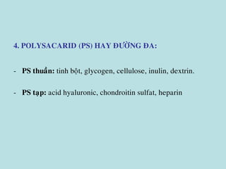 4. POLYSACARID (PS) HAY ÑÖÔØNG ÑA:
- PS thuaàn: tinh boät, glycogen, cellulose, inulin, dextrin.
- PS taïp: acid hyaluronic, chondroitin sulfat, heparin
 