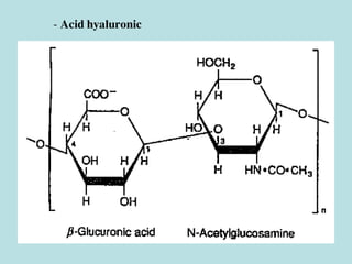 - Acid hyaluronic
 