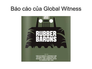 Báo cáo Global Witness
 