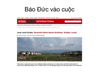 Báo vào
 