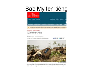 Báo lên
 