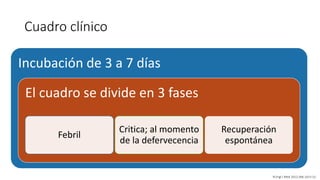 Cuadro clínico
Incubación de 3 a 7 días
El cuadro se divide en 3 fases
Febril
Critica; al momento
de la defervecencia
Recuperación
espontánea
N Engl J Med 2012;366:1423-32.
 