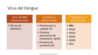 Virus del Dengue
Virus de RNA
monocatenario
• 50 nm de
diámetro
3 proteínas
estructurales
• Proteína de la
capside (C)
• Proteína
precursora de
membrana (prM)
• Proteína de
envoltura (E)
7 proteínas no
estructurales
• NS1
• NS2A
• NS2B
• NS4A
• NS4B
• NS5
nat rev immunol 2015 dec; 15(12): 745 - 59
 