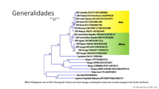 Generalidades
Clin Microbiol Rev 29:487–524.
 