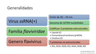Generalidades
Virus ssRNA(+)
Familia flaviviridae
Genero flavivirus
Virión de 40 – 43 nm
Genoma de 10794 nucleótidos
Codifican 3 proteínas estructurales
• Capside (C)
• Premembrana/membrana (prM/M)
• Envoltura (E)
7 proteínas no estructurales
• NS1, NS2A, NS2B, NS3, NS4A, NS4B, NS5
Mayo Clin Proc. 2016;91(4):514-521
Front Microbiol.2016 apr 19;7:496
 