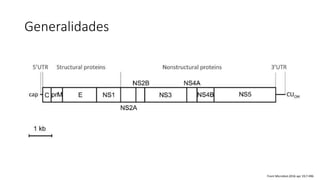Generalidades
Front Microbiol.2016 apr 19;7:496
 
