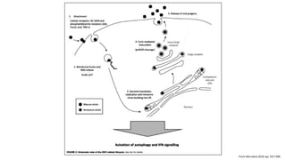 Front Microbiol.2016 apr 19;7:496
 
