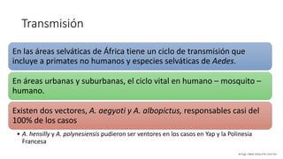 Transmisión
En las áreas selváticas de África tiene un ciclo de transmisión que
incluye a primates no humanos y especies selváticas de Aedes.
En áreas urbanas y suburbanas, el ciclo vital en humano – mosquito –
humano.
Existen dos vectores, A. aegyoti y A. albopictus, responsables casi del
100% de los casos
• A. hensilly y A. polynesiensis pudieron ser ventores en los casos en Yap y la Polinesia
Francesa
N Engl J Med 2016;374:1552-63
 