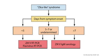 Clin Microbiol Rev 29:487–524.
 