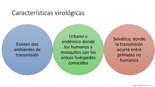 Características virológicas
Existen dos
ambientes de
transmisión
Urbano o
endémico donde
los humanos y
mosquitos son los
únicos huéspedes
conocidos
Selvático, donde
la transmisión
ocurre entre
primates no
humanos
N Engl J Med 2012;366:1423-32.
 