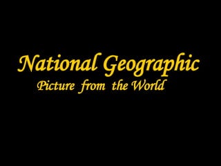 National Geographic Picture  from  the World 