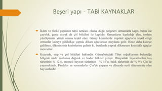 Beşeri yapı - TABİ KAYNAKLAR
 İklim ve fiziki yapısının tabii neticesi olarak doğu bölgeleri ormanlarla kaplı, batısı ise
çayırlık, geniş olarak da çöl bitkileri ile kaplıdır. Ormanların kapladığı alan, toplam
yüzölçümün yüzde onunu teşkil eder. Güney kesimlerde tropikal ağaçların teşkil ettiği
ormanlar kuzeye gidildikçe yaprak döken ağaçlardan meydana gelir. Biraz daha kuzeye
gidilince, ülkenin orta kesimlerine gelinir ki, buralarda yaprak dökmeyen kozalaklı ağaçlar
mevcuttur.
 Kuzeyde, step ve çöl bitkileri hakimdir. Güneybatıdaki Tibet soğuklarının bulundğu
bölgede nadir rastlanan dağınık ve bodur bitkiler yetişir. Dünyadaki hayvanlardan kuş
türlerinin % 12’si, memeli hayvan türlerinin % 10’u, balık türlerinin de % 9’u Çin’de
yaşamaktadır. Pandalar ve semenderler Çin’de yaşıyan ve dünyada nesli tükenmekte olan
hayvanlardır.
 