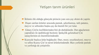 Yetişen tarım ürünleri
 İklimin ılık olduğu güneyde pirincin yanı sıra çay ekimi de yapılır.
 Dışarı satılan ürünler arasında pamuk, şekerkamışı, tatlı patates,
meyve ve sebzeden başka çay da önemli bir yer tutar.
 Güney Çin'in özelliklerinden biri de dutluklardır. Dut ağaçlarının
yaprakları ile ipekböceği beslenir. İpekçilik geleneksel Çin
sanayilerinin en önemlilerindendir.
 Kuzeyde başlıca ürün buğdaydır. Darı, mısır, soyafasulyesi, meyve
ve sebze Kuzey Çin' in tarım ürünlerindendir. Bazı yerlerde pamuk
ve yerfıstığı da yetiştirilir.
 