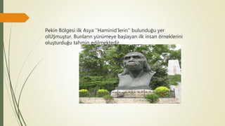 Pekin Bölgesi ilk Asya ''Haminid'lerin'' bulunduğu yer
olUŞmuştur. Bunların yürümeye başlayan ilk insan örneklerini
oluşturduğu tahmin edilmektedir.
 