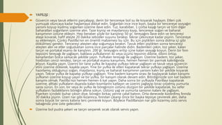  YAPILIŞI :
 Güvercin veya tavuk etlerini parçalayıp, derin bir tencereye bol su ile koyarak haşlayın. Etleri çok
yumuşak oluncaya kadar haşlamaya dikkat edin. Soğanları ince ince kıyın, başka bir tencereye sıvıyağın
yansını koyup kıyılmış soğanları üzerine ilave edin. Tuz, karabiber, 1 çorba kaşığı tarçın ve tüm diğer
baharatları soğanların üzerine atın. Taze kişnişi ve maydanozu kıyıp, tencereye soğan ve baharat
karışımının üstüne ekleyin. Hep beraber şöyle bir karıştırıp 50 gr. tereyağını ilave edin ve tencereyi
ateşe kovarak, hafif ateşte 20 dakika sebzeler suyunu bırakıp. tekrar çekinceye kadar pişirin. Tencereye
su eklemeyin. Çünkü Pastilla'nın en önemli malzemesi bu içtir. Bu için piştikten sonra dolma içi gibi
dökülmesi gerekir. Tencereyi ateşten alıp soğumaya bırakın. Tavuk etleri piştikten sonra tencereyi
ateşten alın ve etler soğuduktan sonra ince parçalar halinde didin. Bademleri çekin, toz şeker, kalan
tarçın ve portakal esansı ile karıştırın. 200 ğr. tereyağını eritip içine kalan sıvıyağı koyun. Derin bir fırın
tepsisini tereyağı ile yağlayın, baklava yufkalarının iki veya üçünü tepsinin dibine, dibini örtüp,
kenarlardan bolca sarkacak şekilde yayın. Yufkaları tereyağı ile yağlayın. Üzerine badem, toz şeker,
hindistan cevizi rendesi, tarçın ve portakal esansı karışımını, hemen hemen bir parmak kalınlığında
koyun. Kaşıkla yayın. Üzerini bir tane yufka ile kapatıp yufkayı tekrar yağlayın ve tavuk veya güvercin
etini üzerine dökerek, kaşıkla yayın. Yine bir yufka ile etleri kapatarak tekrar yufkayı yağlayın. Üzerine
hazırlamış olduğunuz soğan, maydanoz, kişniş ve baharat karışımının yarısını kalın bir şekilde koyarak
yayın. Tekrar yufka ile kapatıp yufkayı yağlayın. Yine badem karışımı sırası ile başlayarak kalan karışımı
yufkanın üzerine koyup yayın ve bir yufka, bir karışım olarak devam edin. Bitirdiğinizde son kat badem
karışımı olmalı. Pastilla’nızı hemen hemen 6 kat yapın. Daha sonra bir yufkayla Pasrillayı kapatarak
üzerine, alttaki yufkaların dışarıda kalan kısımlarını katlayın ve üzerini yağlayıp biraz çırpılmış yumurta
sarısı sürün. En son, bir veya iki yufka ile böreğinizin üstünü düzgün bir şekilde kapatarak, bu sefer
yufkaların fazlalıklarını böreğin altına sokun. Üstünü yağ ve yumurta sarısının kalanı ile yağlayın.
Pişerken içindeki buhar çıksın diye, böreğin birkaç yerine çatal batırırı. Orta derecede kızdırılmış fırında
30 dakika pişirin. Üzeri nar gibi kızarınca, fırından çıkarıp önce bir başka tepsiye çevirerek alın, daha
sonra büyük bir servis kabına ters çevirerek koyun. Böylece Pastillanızın nar gibi kızarmış üstü servis
tabağında yine üste gelecektir.
 Üzerine bol pudra şekeri ve tarçın serperek sıcak olarak servis yapın.
 