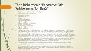 Thon bichermoula “Baharat ve Otla
Terbiyelenmiş Ton Balığı”
 4 adet ton balığı filetosu (her biri 125 gr.)
1/2 limon turşusu (dilimlenmiş)
 chermoula sos için;
1/4 limon turşusu
2 diş sarımsak
1/2 demet taze kişniş
1/2 demet maydanoz
1/4 tatlı kaşığı safran
1/2 tatlı kaşığı toz kırmızıbiber
1/2 tatlı kaşığı kimyon
3 çorba kaşığı limon suyu
6 çorba kaşığı zeytinyağı
1/2 tatlı kaşığı tuz
 Derileri çıkarılmış ton balığı filetolarını cam bir kaba sıralayıp bir kenara bırakın. Chermoula sos
için; maydanozları ve taze kişnişi iri iri doğrayın, limon turşusunun içini atın, kabuğunu yıkayın,
kurulayın ve doğrayın. Hepsini diğer tüm malzemelerle birlikte bir miksere koyarak püre haline
gelinceye kadar çekin. Pürenin bir kısmını servis için ayırın. Kalan karışımda ton balığı filetolarını
çevirin ve üzerlerini örterek bir gece buzdolabında bekletin. Ertesi gün ızgarayı kızdırın, balıkların
üzerindeki Chermoula sosun fazlasını sıyırın ve kızgın ızgarada 6-9 dakika arasında kızartın.
Kızartma sırasında zaman zaman Chermoula sos ile yağlayın. Sıcak olarak yanında, daha önce
bir kenara ayırdığınız Chermoula sos ve ince limon turşusu dilimleri ile servis yapın. Arzu
ederseniz balığınızı, orta derecede kızdırılmış fırında da pişirebilirsiniz.
 Dilerseniz Thon bichermoula’nıza bir tutam acı toz kırmızı biber ekleyebilirsiniz. Acı biber,
yemeğinize biraz farklı bir lezzet getirecektir.
 Chermoula sosu, ton balığı gibi kuru etli balıkları terbiye etmede kullanabilirsiniz. Burada
verdiğim tarif gibi kullanacağınız balığı 24 saat önce Chermoula sosta dinlendirip, ertesi gün
fırında veya ızgarada pişirebilirsiniz.
 