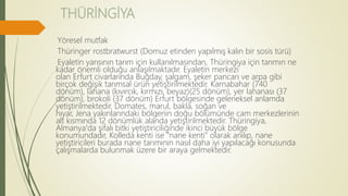THÜRİNGİYA
Yöresel mutfak
Thüringer rostbratwurst (Domuz etinden yapılmış kalın bir sosis türü)
Eyaletin yarısının tarım için kullanılmasından, Thüringiya için tarımın ne
kadar önemli olduğu anlaşılmaktadır. Eyaletin merkezi
olan Erfurt civarlarında Buğday, şalgam, şeker pancarı ve arpa gibi
birçok değişik tarımsal ürün yetiştirilmektedir. Karnabahar (740
dönüm), lahana (kıvırcık, kırmızı, beyaz)(25 dönüm), yer lahanası (37
dönüm), brokoli (37 dönüm) Erfurt bölgesinde geleneksel anlamda
yetiştirilmektedir. Domates, marul, bakla, soğan ve
hıyar, Jena yakınlarındaki bölgenin doğu bölümünde cam merkezlerinin
alt kısmında 12 dönümlük alanda yetiştirilmektedir. Thüringiya,
Almanya'da şifalı bitki yetiştiriciliğinde ikinci büyük bölge
konumundadır, Kolleda kenti ise "nane kenti" olarak anılıp, nane
yetiştiricileri burada nane tarımının nasıl daha iyi yapılacağı konusunda
çalışmalarda bulunmak üzere bir araya gelmektedir.
 