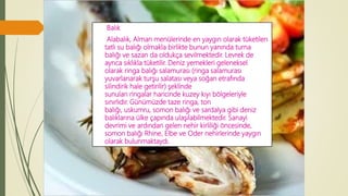 Balık
Alabalık, Alman menülerinde en yaygın olarak tüketilen
tatlı su balığı olmakla birlikte bunun yanında turna
balığı ve sazan da oldukça sevilmektedir. Levrek de
ayrıca sıklıkla tüketilir. Deniz yemekleri geleneksel
olarak ringa balığı salamurası (ringa salamurası
yuvarlanarak turşu salatası veya soğan etrafında
silindirik hale getirilir) şeklinde
sunulan ringalar haricinde kuzey kıyı bölgeleriyle
sınırlıdır. Günümüzde taze ringa, ton
balığı, uskumru, somon balığı ve sardalya gibi deniz
balıklarına ülke çapında ulaşılabilmektedir. Sanayi
devrimi ve ardından gelen nehir kirliliği öncesinde,
somon balığı Rhine, Elbe ve Oder nehirlerinde yaygın
olarak bulunmaktaydı.
 