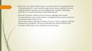 Yabanturpu, sos olarak kullanılmasının yanında, krema ile zenginleştirilerek
("Sahnemeerettich") veya hardal ile yoğurularak hamur şeklinde de servis
edilebilmektedir. Almanya'nın bazı bölgelerinde, hardalın kullanıldığı
yerlerde et ve sosislerle beraber kullanılabilmektedir.
Sarımsak"insanların nefesinin kötü komasını sağladığı"ndan dolayı
sevilmemekteydi ve bu yüzden Alman mutfağında hiçbir zaman önemli bir
yer edinememiştir fakat son on
yıldır Fransa, İtalyan, İspanyol, Portekiz, Yunan ve Türk mutfağı’nın etkisiyle
popülaritesi artmaktadır. Önceki yüzyıllardan beri bilinen baharat olan
sarımsak, 1990'lardan sonra yeniden ününü artırmıştır.
 