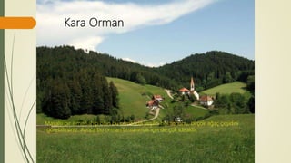 Kara Orman
Masalsı bir isme sahip olan bu ormanda yeşilin her tonunu, birçok ağaç çeşidini
görebilirsiniz. Ayrıca bu orman tırmanmak için de çok idealdir.
 