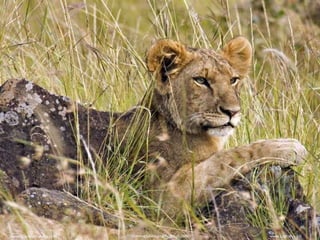 mehmetaliercan@hotmail.comwww.cografyakulubu.com www.cografya.biz
 