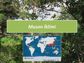 Muson İklimiMuson İklimi
 