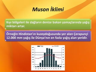 Muson İklimi
 