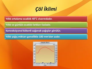 Çöl İklimi
 
