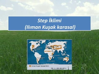 Step İklimi
(Ilıman Kuşak karasal)
Step İklimi
(Ilıman Kuşak karasal)
 