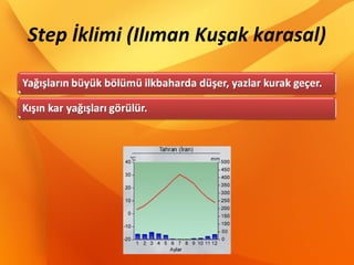Step İklimi (Ilıman Kuşak karasal)
 