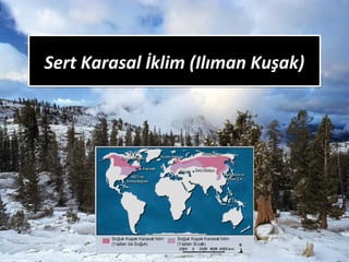 Sert Karasal İklim (Ilıman Kuşak)Sert Karasal İklim (Ilıman Kuşak)
 